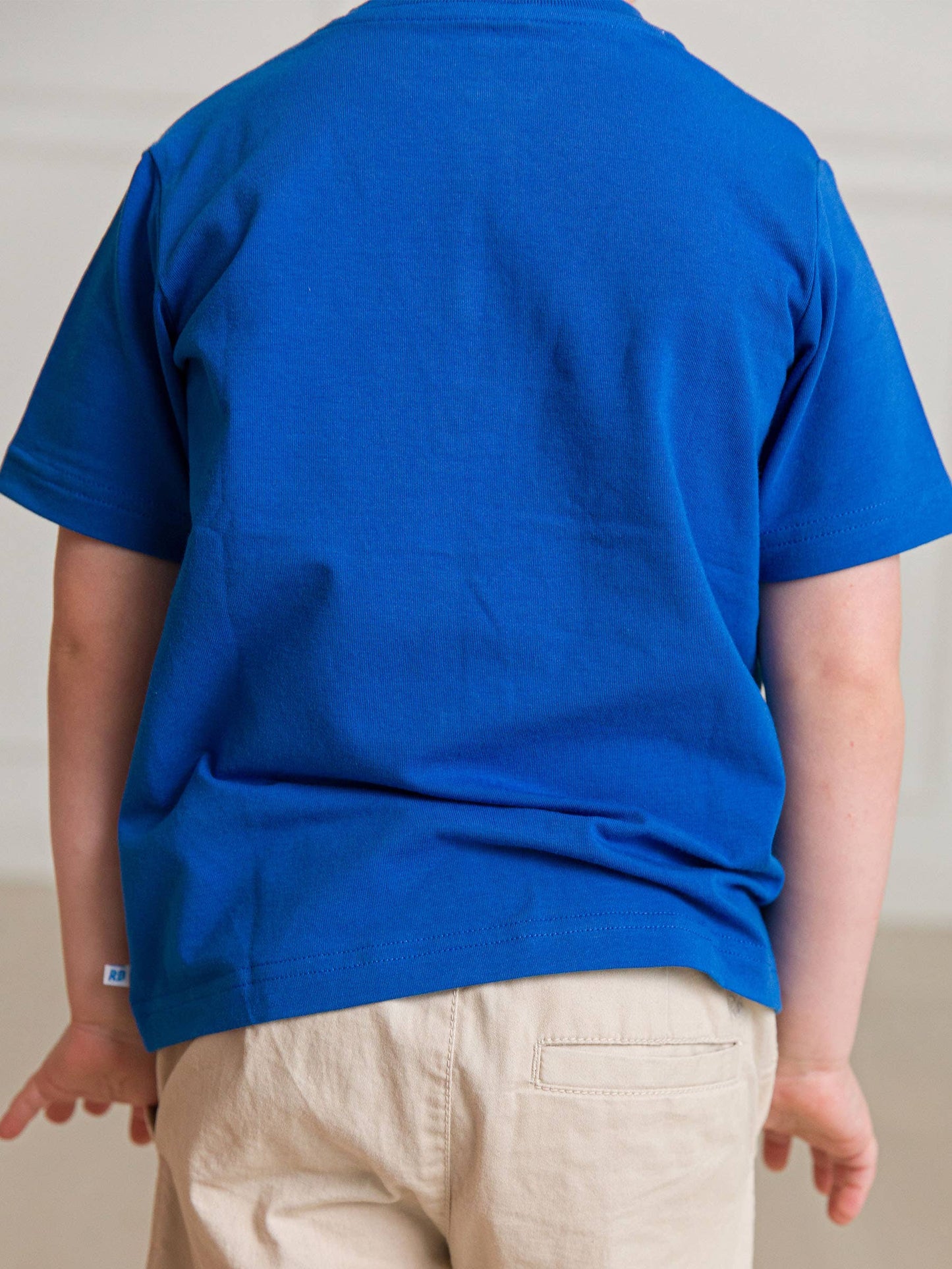 Boys Blue Short Sleeve Henley