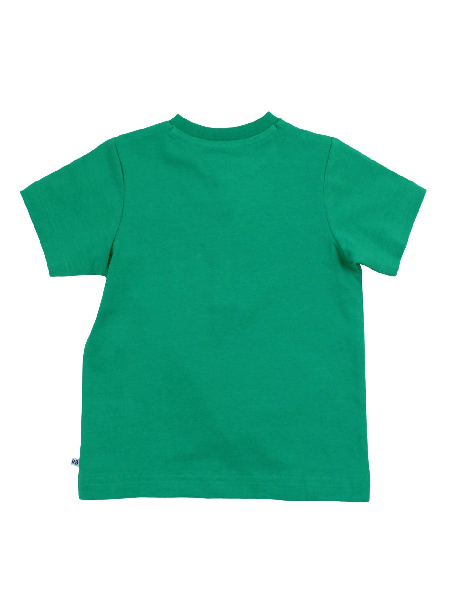 Boys Green Short Sleeve Henley Tee