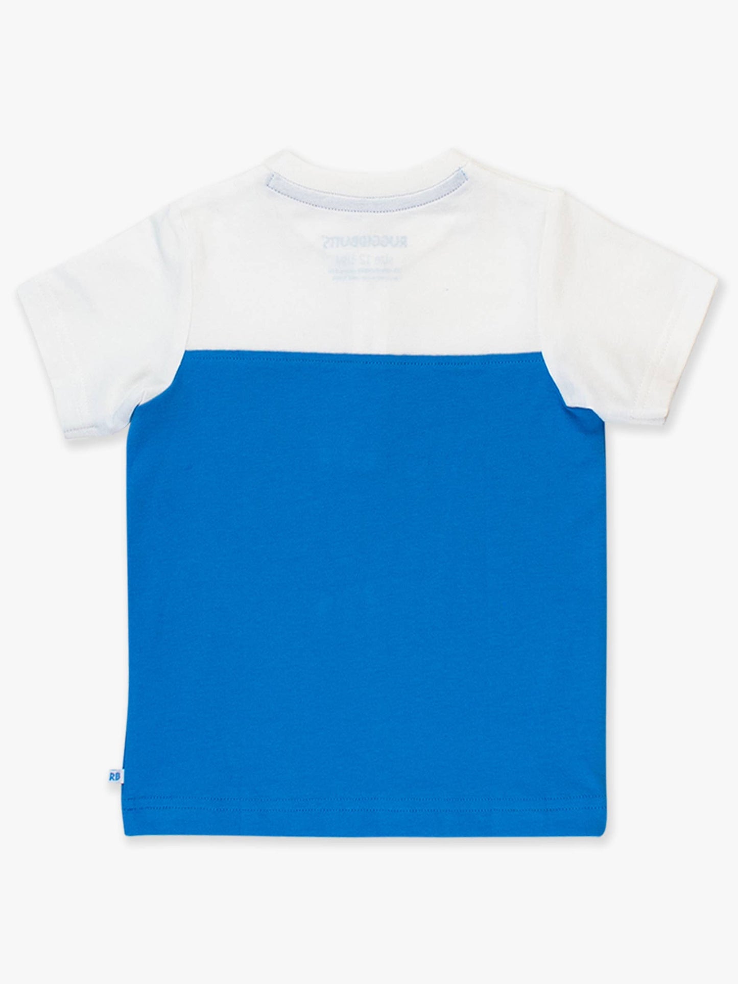 Boys White & Blue Color Block Short Sleeve Henley