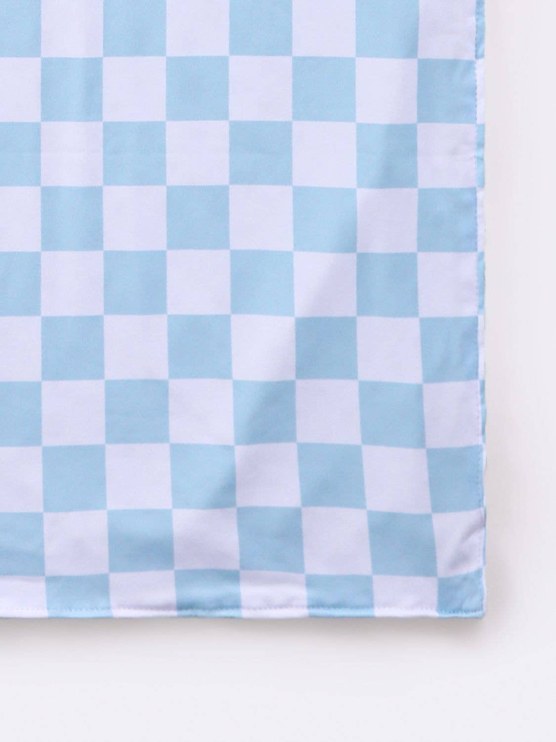 Blue Checkered Blanket